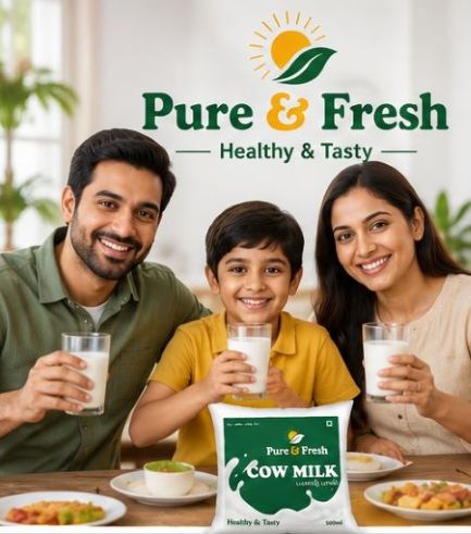 Pure & Fresh Cow Milk 500ml packets